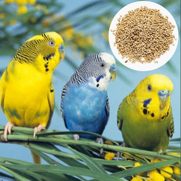 Budgies Dry Granules (Seeds) - 500g