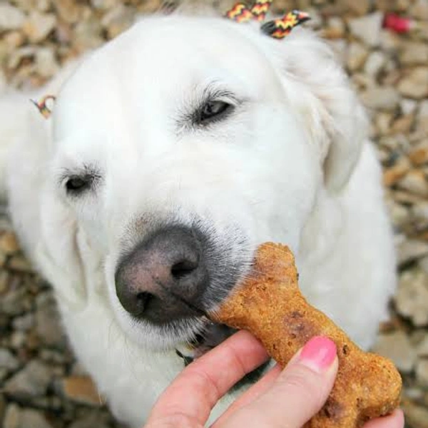 Treats for Pets