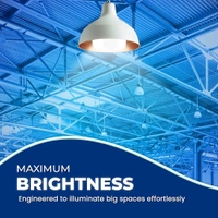 Ameezo 30 Watt Dome Led Bulb (2 Yr Warranty) - White, 30
