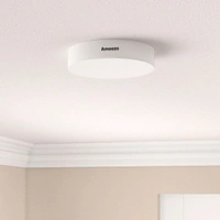 Ameezo 8w Rimless Surface Panel|Round |cool White | Inch (2 Yr Warranty) - White, 8