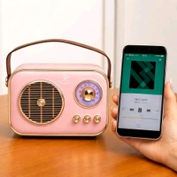 Ameezo Premium Bluetooth Speaker