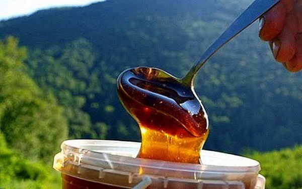 Ooty Pure Honey