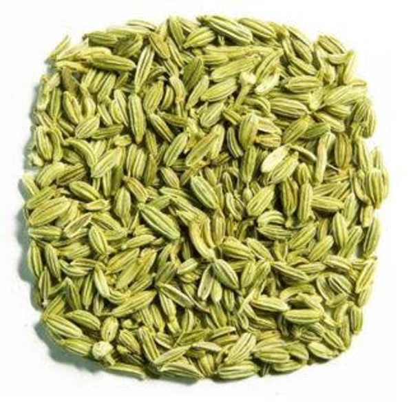 Zeeragam