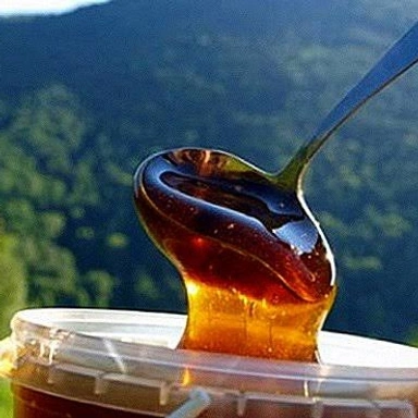 Ooty Pure Honey