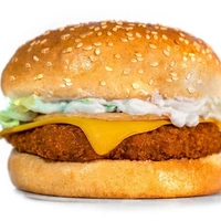 CH  Veg - Paneer Burger
