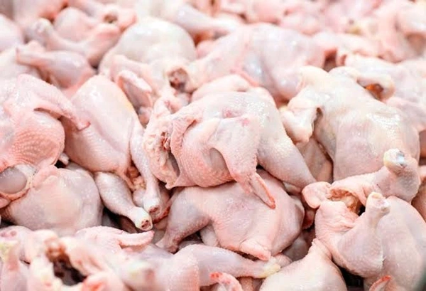 CHICKEN MIX - Gold