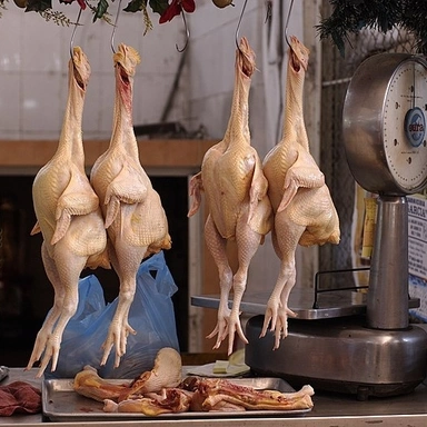 CHICKEN