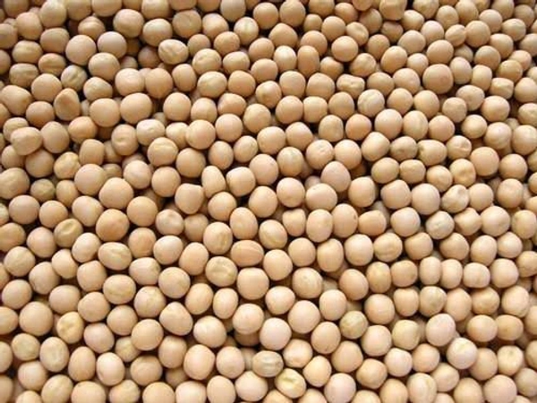 Matar /Kerai 1kg