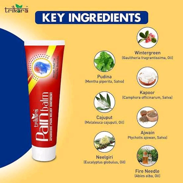 Trikara Pain Balm 15gm