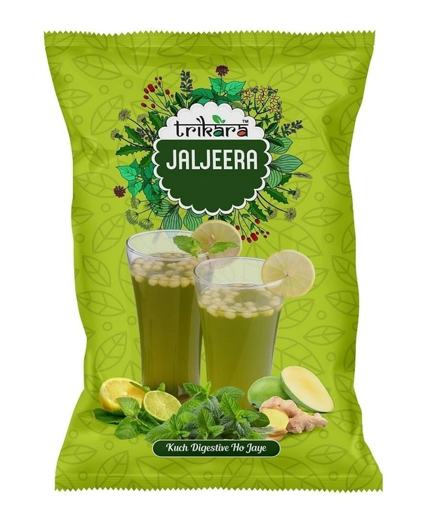 Rcm Jaljeera Powder(100g)