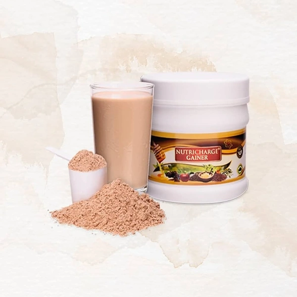 Nutricharge Gainer, 500 g