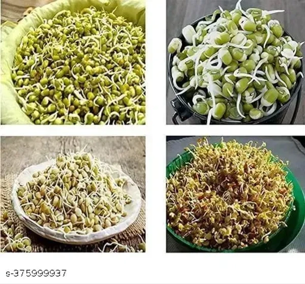 Sprout Maker with 3 Container for Living Healthy Life