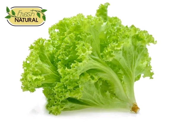 Lettuce (Salad Patta - सलाद पत्ता) - 1 KG
