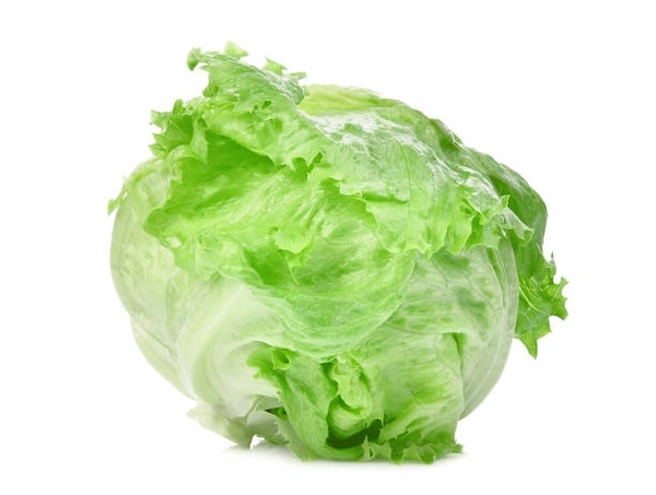 Iceberg Lettuce - 2PC