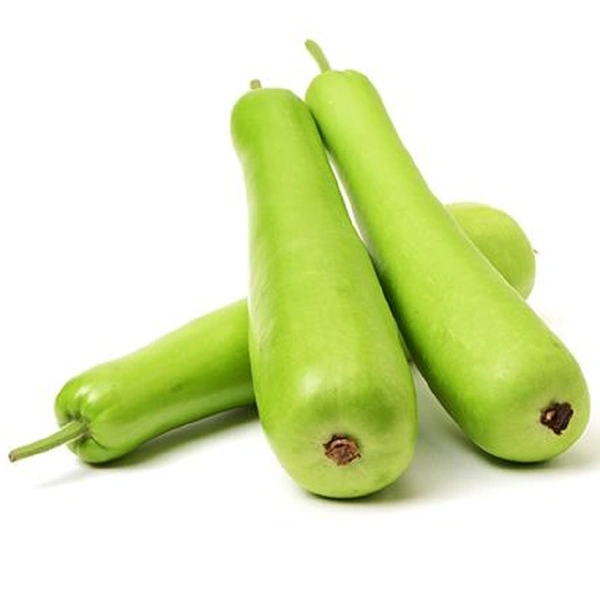 Bottle Gourd (Baby) - 1PC