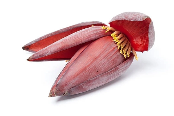 Banana Flower 1PC