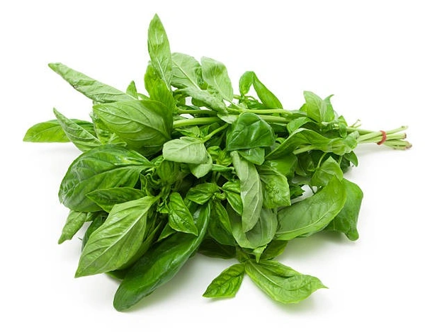 Basil - 100g