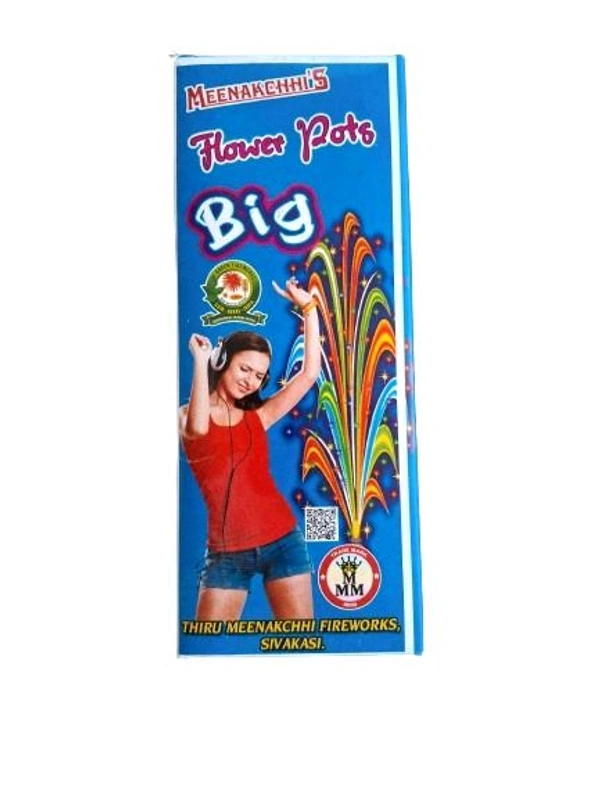 FLOWER POT BIG