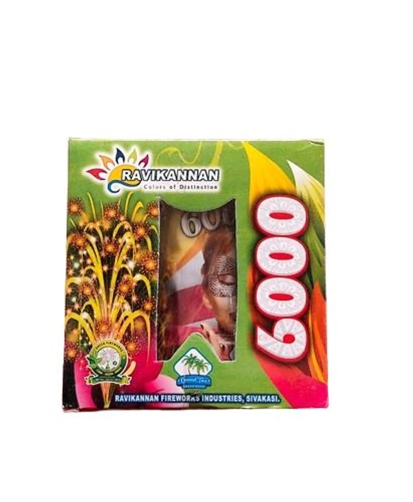 6000