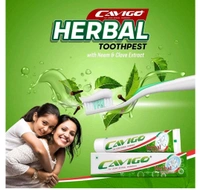 Cavigo Harbal Tooth Paste 100g