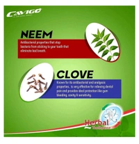 Cavigo Harbal Tooth Paste 100g