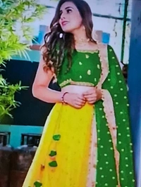 Classic Net Embroidered Lehenga Cholis for Women - Red, pink, Green