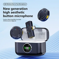 Q81 Mic 