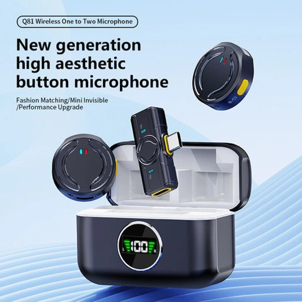 Q81 Mic 