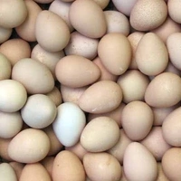 Original Nattukozhi Eggs - 6 Pieces