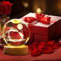 Radiance  "Crystal Dolphin LED Light Globe – Enchanted Ocean Glow"
