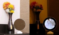 Radiance  Personalized Magic Mirror with LED Light