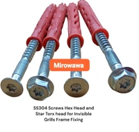 Mirowawa  Fastener SS304 Star Torxhead Plus Plug - 6×60, Silver