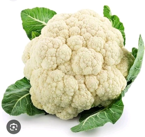 Gobi _500grams 