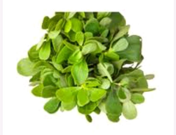 Methi_250 