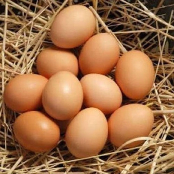Desi EGG (ଦେଶୀ କୁକୁଡ଼ା ଅଣ୍ଡା) - Small