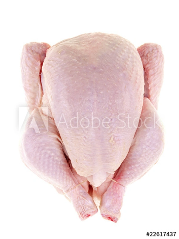 Broilor Chicken