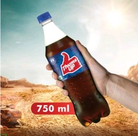 SOFT DRINK THUMS UP PET BOTTLE (2L) MRP 99/-