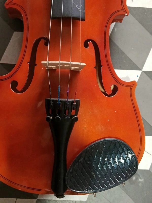 INDIAN Violin Profesional  - Tall Poppy