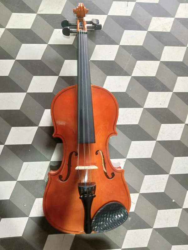 INDIAN Violin Profesional  - Tall Poppy