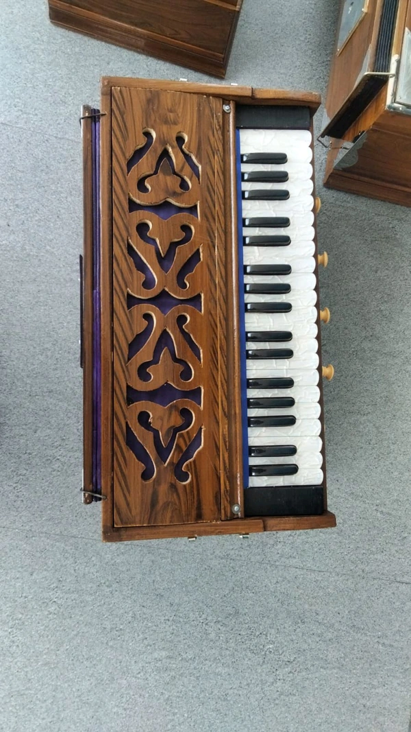 S. Mandal S. MANDAL Plane Sabi (key) Segun Single Harmonium - Bourbon, 37