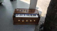 S. Mandal S. MANDAL Plane Sabi (key) Segun Single Harmonium - Bourbon, 37