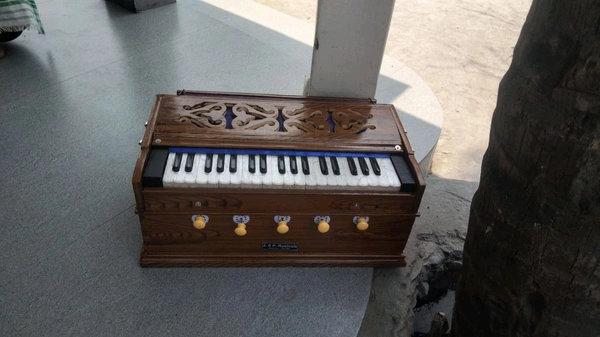 S. Mandal S. MANDAL Plane Sabi (key) Segun Single Harmonium - Bourbon, 37