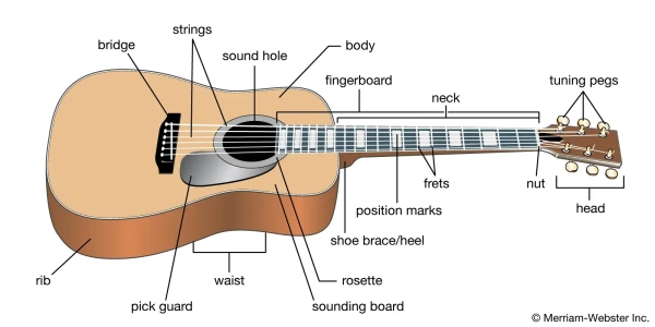 Yamaha YAMAHA F280 and YAMAHA F310 Acoustic guitar.  - 49, Natural, 2