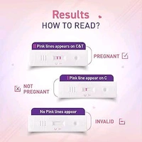 Prega News