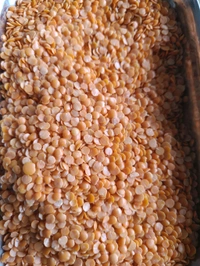 Masoor Dal - 250g
