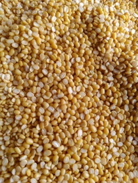 Moong Dal - 250g