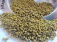 Green Whole Moong - 250g