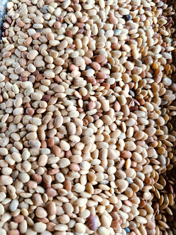Horsegram / Kulti - 250g