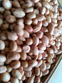 Peanuts / Phalli - 250g
