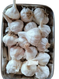 Lason  - 250g